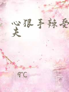 心狠手辣受 追夫