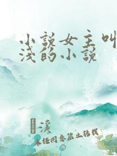 小说女主叫苏浅浅的小说