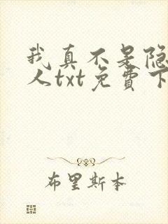 我真不是隐世高人txt免费下载