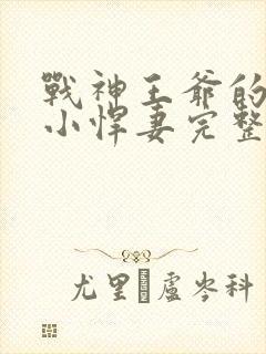 战神王爷的甜宠小悍妻完整版