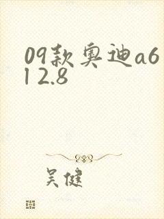 09款奥迪a6l 2.8 09款奥迪a6l 2.8
