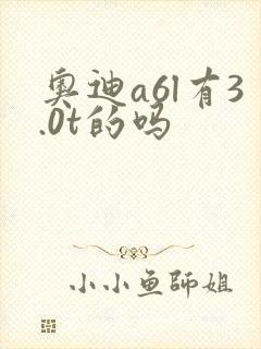 奥迪a6l有3.0t的吗