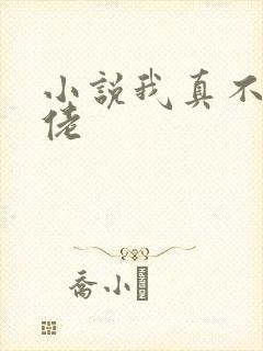 小说我真不是大佬