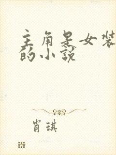 主角是女装大佬的小说