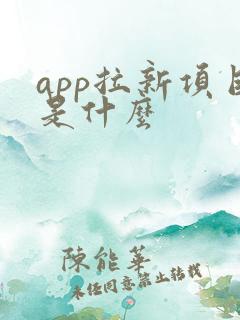 app拉新项目是什么