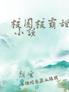 校园校霸甜宠文 小说