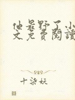 他最野了小说全文免费阅读无弹窗