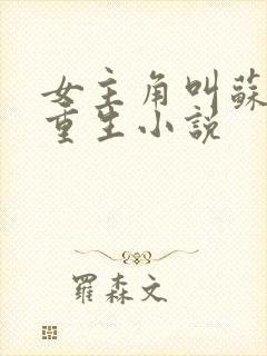 女主角叫苏鸢的重生小说