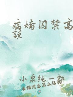 病娇囚禁高h小说