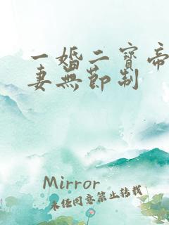 一婚二宝帝少宠妻无节制