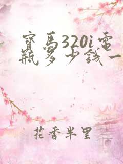宝马320i电瓶多少钱一个
