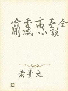 偷香高手全文无删减 小说