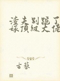 渣夫别跪了夫人嫁顶级大佬显怀了大结局