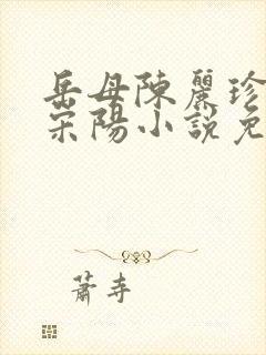 岳母陈丽珍女婿宋阳小说免