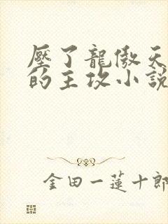 压了龙傲天男主的主攻小说