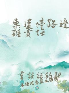 车违停路边被撞谁责任