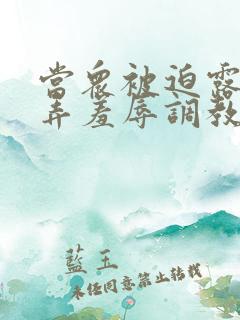 当众被迫露出玩弄羞辱调教女小说