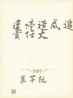 违停造成追尾谁责任大