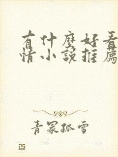 有什么好看的言情小说推荐