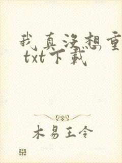 我真没想重生啊 txt下载 我真没想重生啊 txt下载