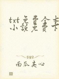 txt免费全本小说免费下载网