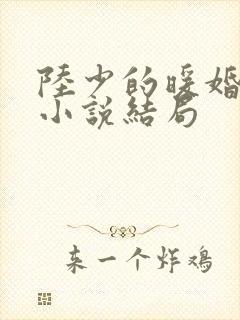 陆少的暖婚新妻小说结局