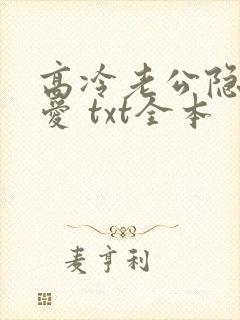 高冷老公隐婚蜜爱 txt全本