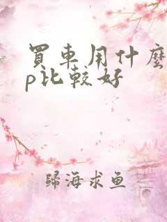 买车用什么app比较好
