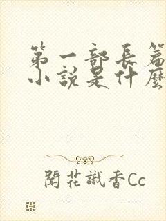第一部长篇历史小说是什么