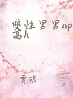 双性男男np肉高h