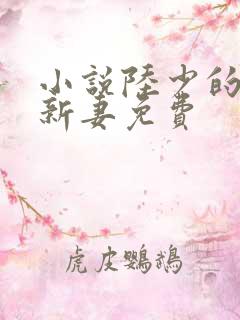 小说陆少的暖婚新妻免费