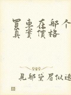 买车在哪个网查真实价格