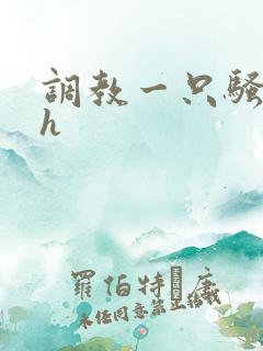 调教一只骚母狗h