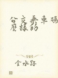 公交乘车码是什么样的