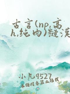 古言(np,高h,纯肉)糙汉