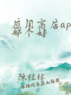 应用商店app哪个好