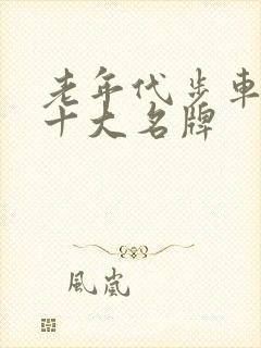 老年代步车四轮十大名牌