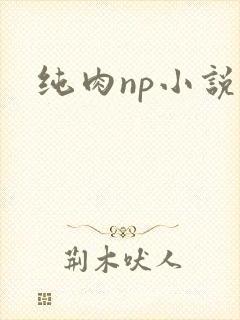 纯肉np小说h