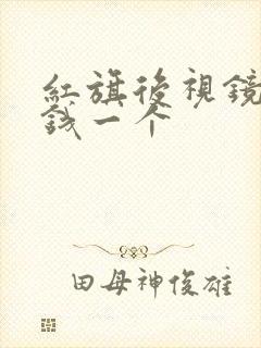 红旗后视镜多少钱一个