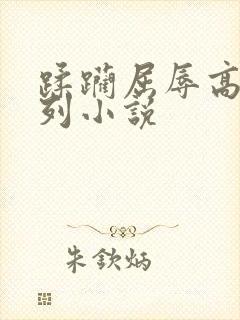 蹂躏屈辱高h系列小说