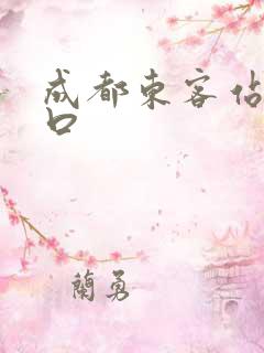 成都东客站地铁口