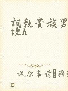 调教贵族男校总攻h