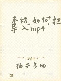手机如何把小说导入mp4
