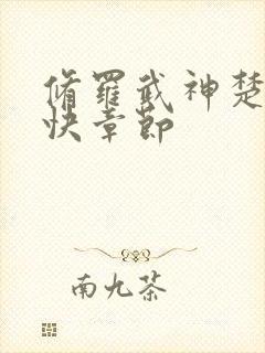 修罗武神楚枫更快章节