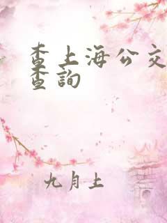 查上海公交路线查询