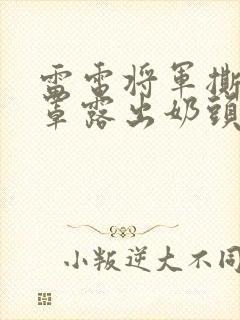 雷电将军撕掉胸罩露出奶头小说 雷电将军撕掉胸罩露出奶头小说
