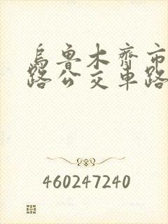 乌鲁木齐市30路公交车路线图