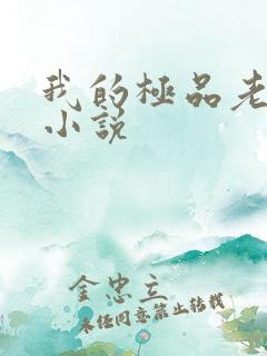 我的极品老婆 小说