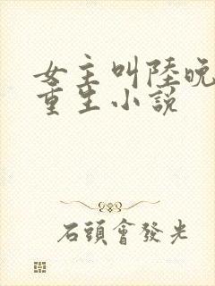 女主叫陆晚晚的重生小说