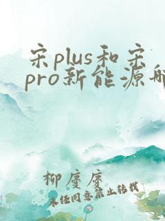宋plus和宋pro新能源哪个好